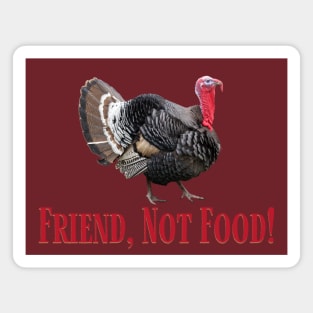 Turkeys Make Great Friends and Friends are NOT Food! Magnet